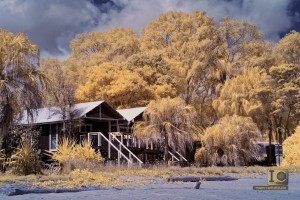 Agnes Water Infrared Landscapes